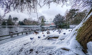 West Park Snow in Wolverhampton
